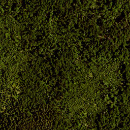 Satellite imagery of TP, AT