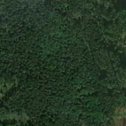 Satellite imagery of Stará paseka [Cep], CZ