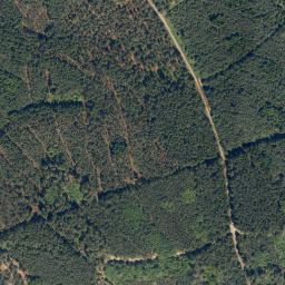 Satellite imagery of (Na Skalce) [Staňkov], CZ