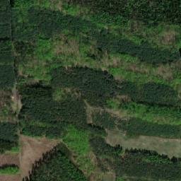Satellite imagery of Holý kopec [Olbramkostel], CZ