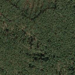 Satellite imagery of (Tesaříkův bor) [Vracov], CZ
