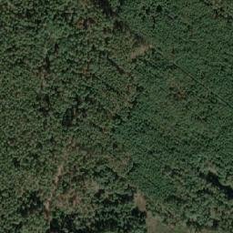 Satellite imagery of (Tesaříkův bor) [Vracov], CZ