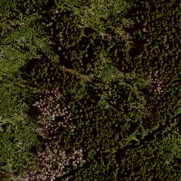 Satellite imagery of KW, AT