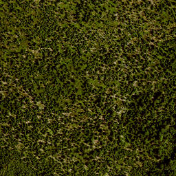 Satellite imagery of Lusen, DE