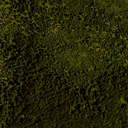 Satellite imagery of Lusen, DE