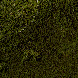 Satellite imagery of Lusen, DE