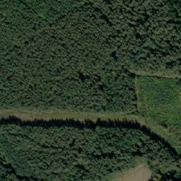 Satellite imagery of Stávky [Ledenice], CZ