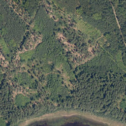 Satellite imagery of (Na Skalce) [Staňkov], CZ