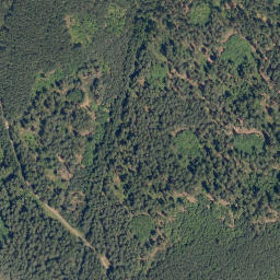 Satellite imagery of (Na Skalce) [Staňkov], CZ
