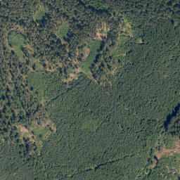 Satellite imagery of (Na Skalce) [Staňkov], CZ