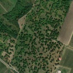 Satellite imagery of Žlutý kopec [Popice], CZ