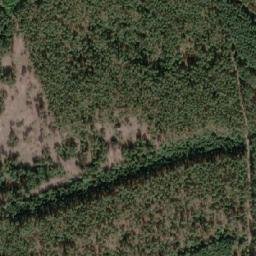 Satellite imagery of (Tesaříkův bor) [Vracov], CZ