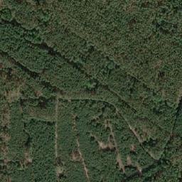 Satellite imagery of (Tesaříkův bor) [Vracov], CZ