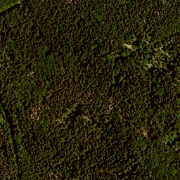 Satellite imagery of survey_point, AT