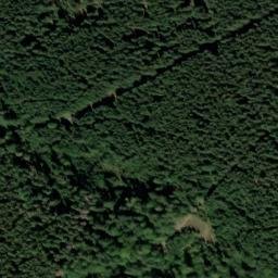 Satellite imagery of Ptáčník [Lenora] GSM, CZ