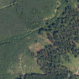 Satellite imagery of (Na Skalce) [Staňkov], CZ