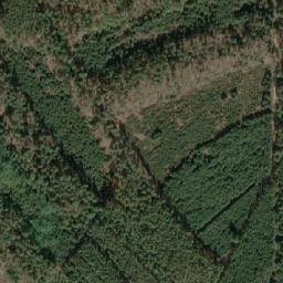 Satellite imagery of (Tesaříkův bor) [Vracov], CZ
