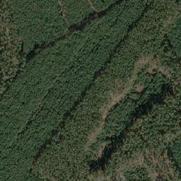 Satellite imagery of (Tesaříkův bor) [Vracov], CZ