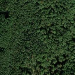 Satellite imagery of survey_point, CZ