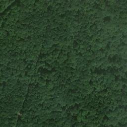 Satellite imagery of Buchberg, DE