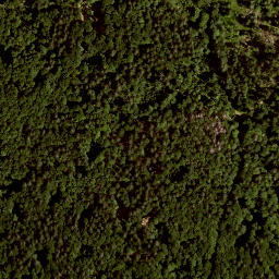 Satellite imagery of survey_point, AT