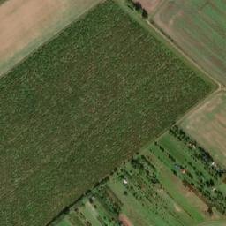 Satellite imagery of (Padělky nad Liškami) [Veselí nad Moravou - Zarazice], CZ