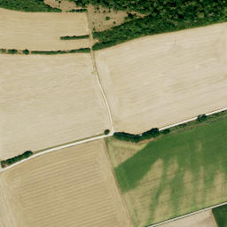 Satellite imagery of Rauenwörth, DE