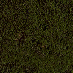 Satellite imagery of Markstein, AT