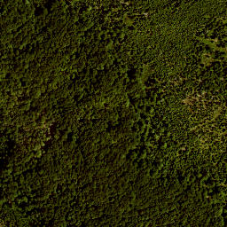 Satellite imagery of TP, AT