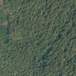 Satellite imagery of Clifton Point, CA