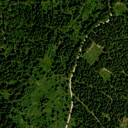Satellite imagery of Geisskopf, DE