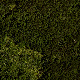 Satellite imagery of TP, AT