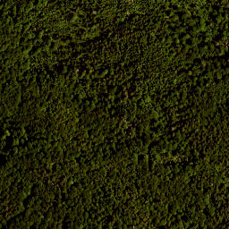 Satellite imagery of TP, AT