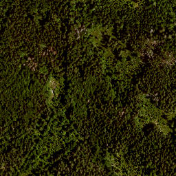 Satellite imagery of TP, AT