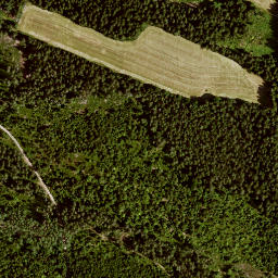 Satellite imagery of Ochsenreuten, DE