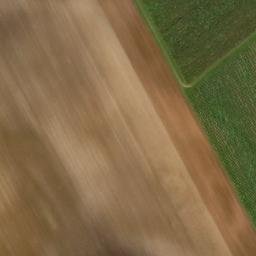 Satellite imagery of (Padělky nad Liškami) [Veselí nad Moravou - Zarazice], CZ