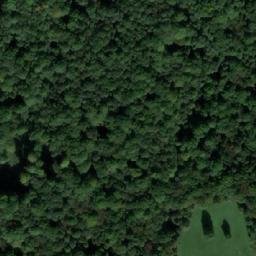 Satellite imagery of Dubina, CZ