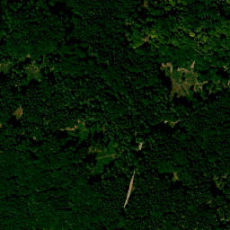 Satellite imagery of Rauenwörth, DE