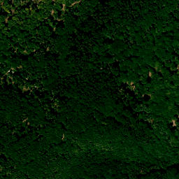 Satellite imagery of Rauenwörth, DE