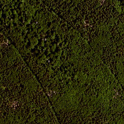 Satellite imagery of survey_point, AT