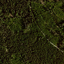 Satellite imagery of Ochsenreuten, DE