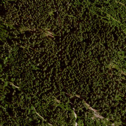 Satellite imagery of Ochsenreuten, DE