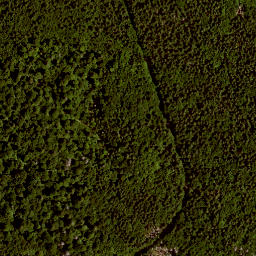 Satellite imagery of Kühhüttenberg, DE