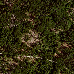 Satellite imagery of Kühhüttenberg, DE