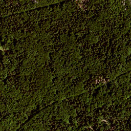 Satellite imagery of Kühhüttenberg, DE