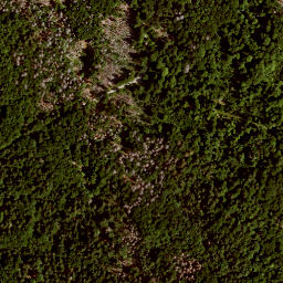 Satellite imagery of Kühhüttenberg, DE