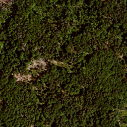 Satellite imagery of Kühhüttenberg, DE