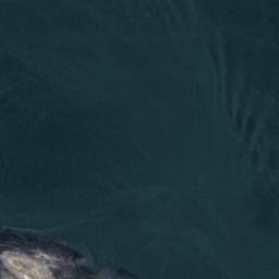 Satellite imagery of Twiss Point, CA