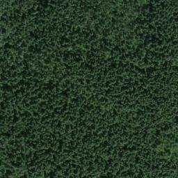 Satellite imagery of Windy Ridge, US