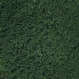 Satellite imagery of Windy Ridge, US